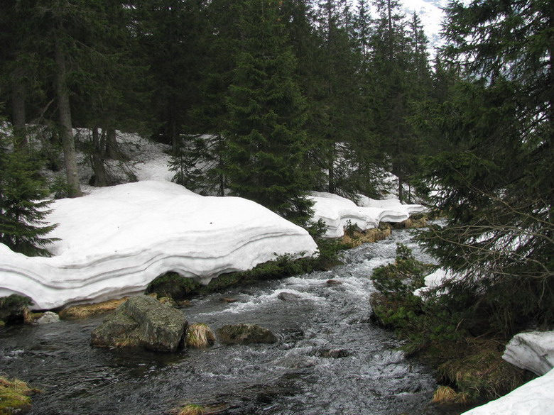 W drodze nad Morskie Oko