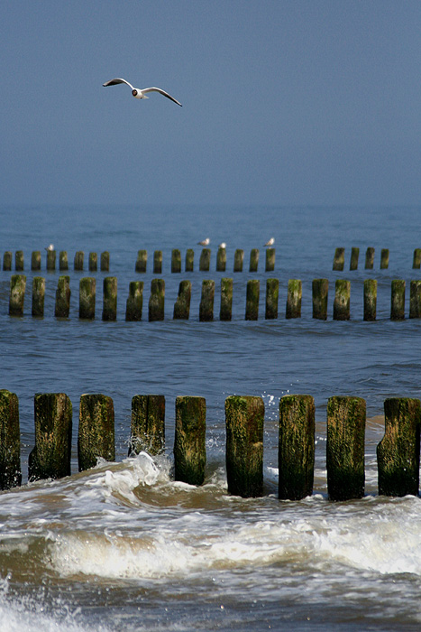 widok z plaży