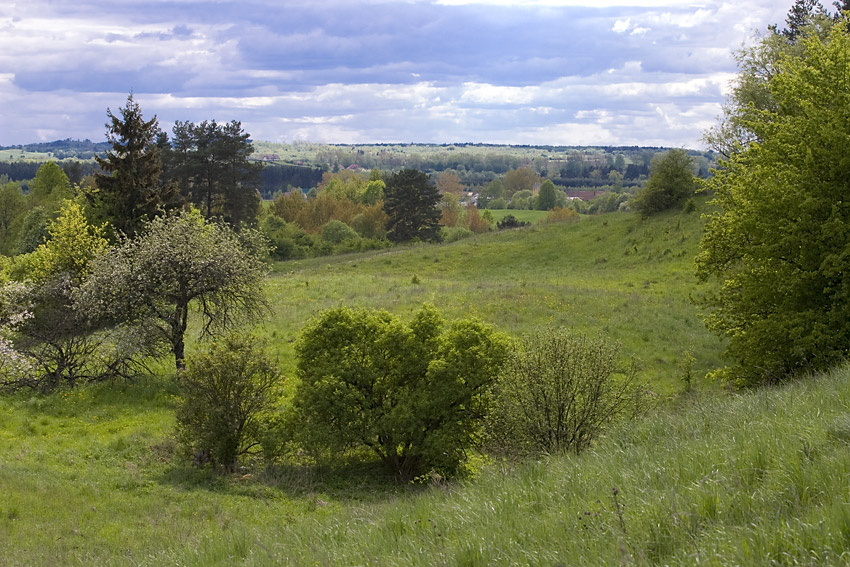 mazury garbate