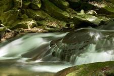 Potok - Beskid Sądecki