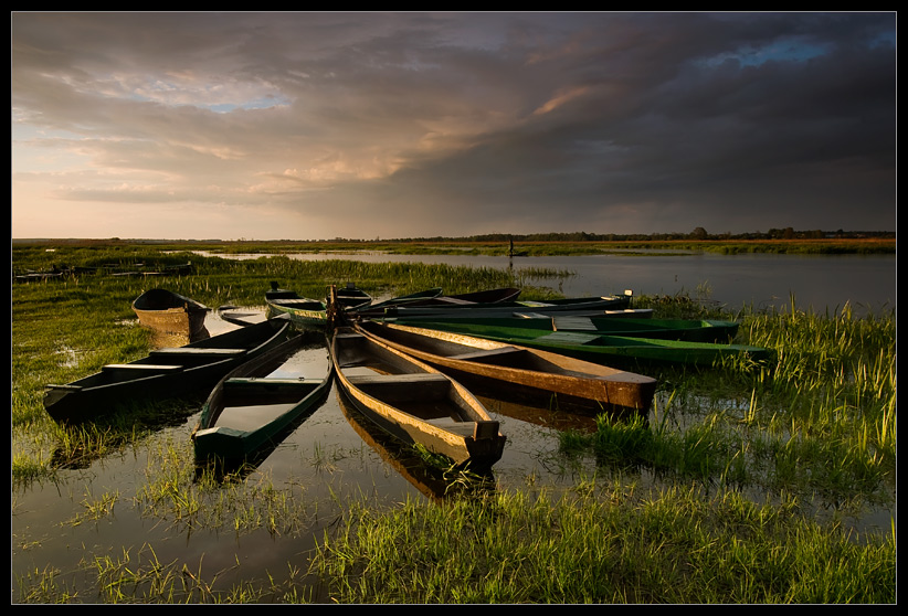 Narew.