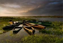 Narew.