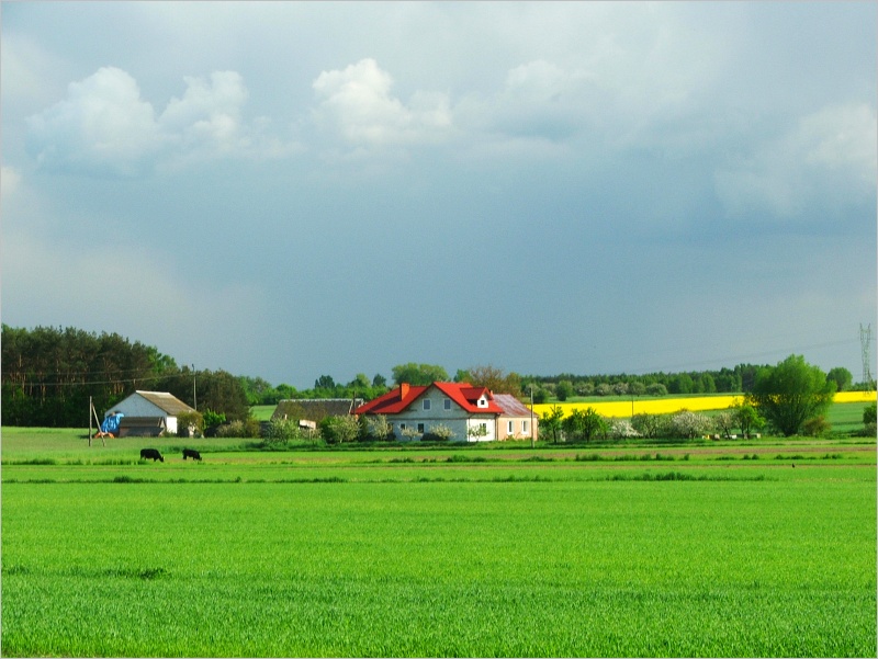 Zdunków