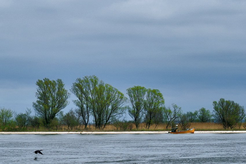 Pod prąd