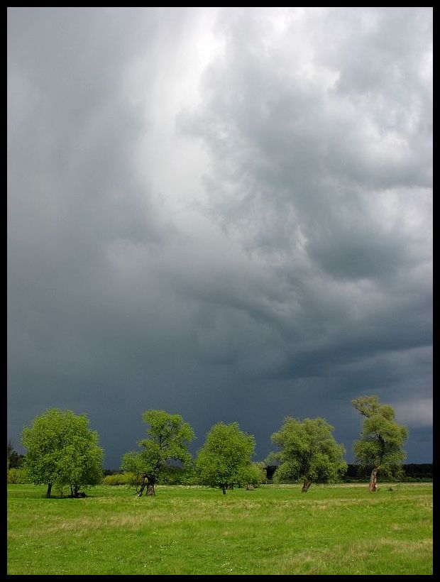 Burzowo nad Bugiem