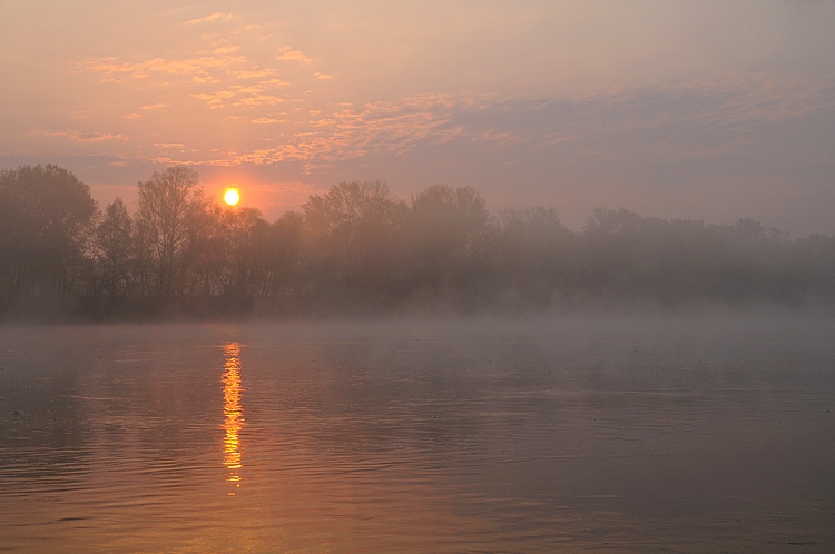 Mglisty ranek nad Wisłą