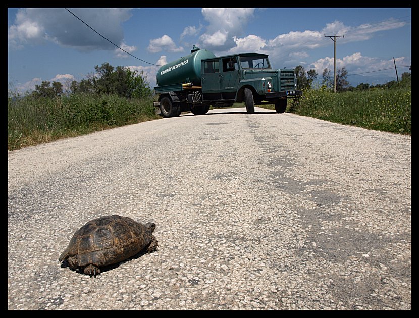 Kto komu stoi tutaj na drodze??