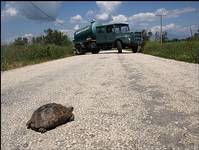 Kto komu stoi tutaj na drodze??