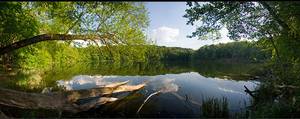 Wielkopolski Park Narodowy