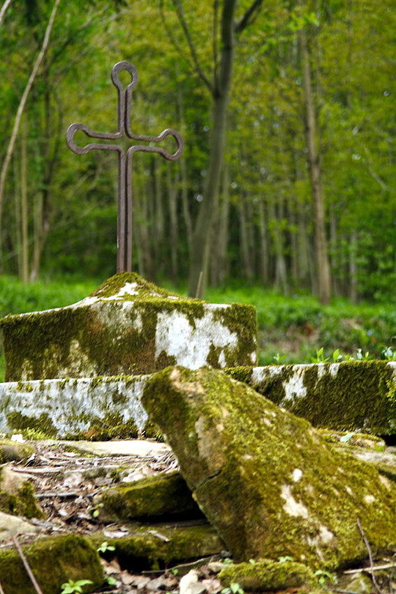 tu przychodzą tylko Ci, którzy wiedzą...