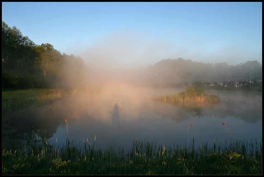 Ghost in the fog