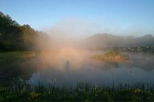 Ghost in the fog