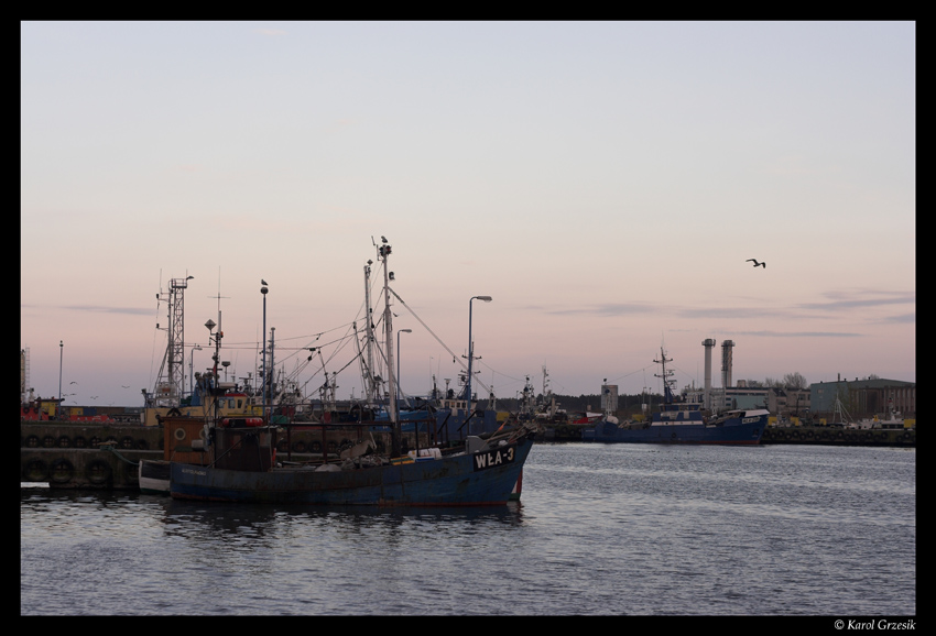 "port wiecznie rybą walący":]