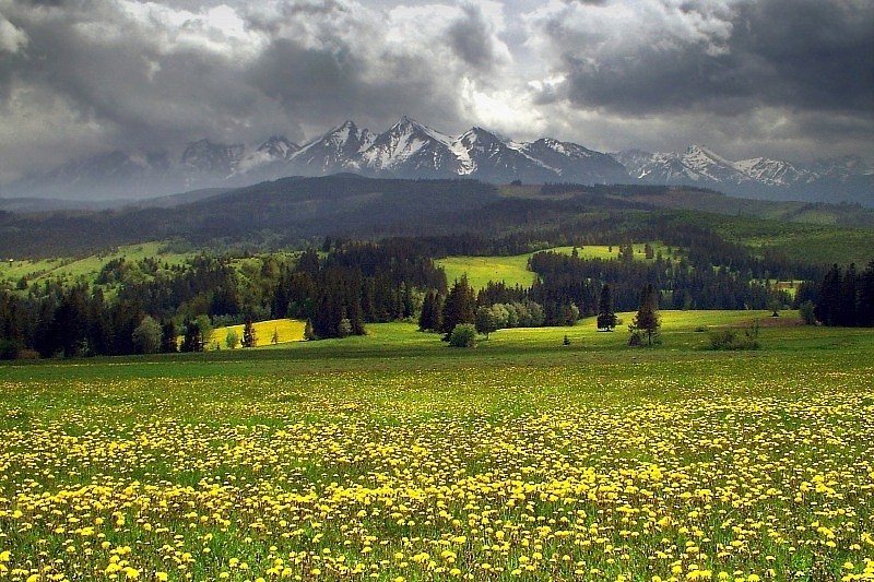 Tatry