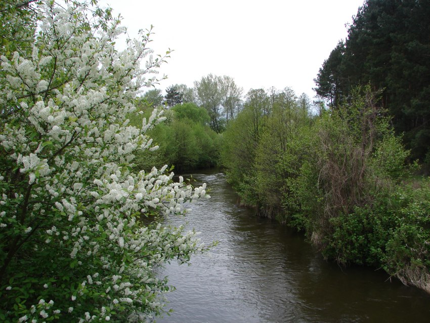 Nad rzeką.