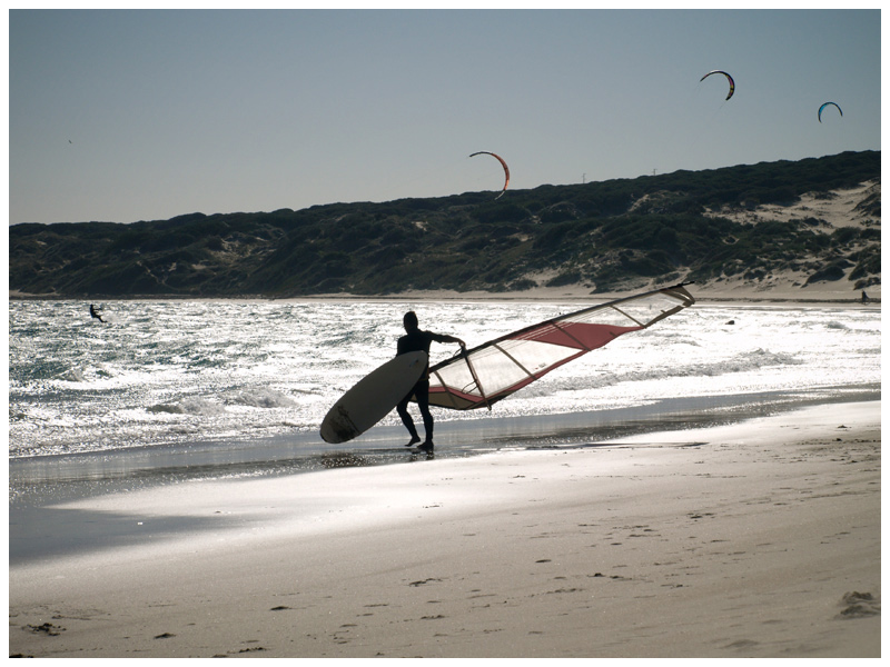 Windsurfer