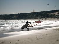 Windsurfer