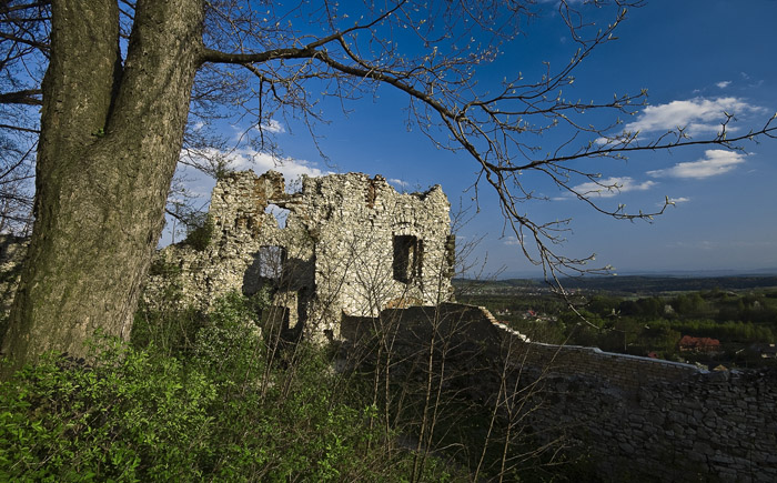 Tenczynska twierdza