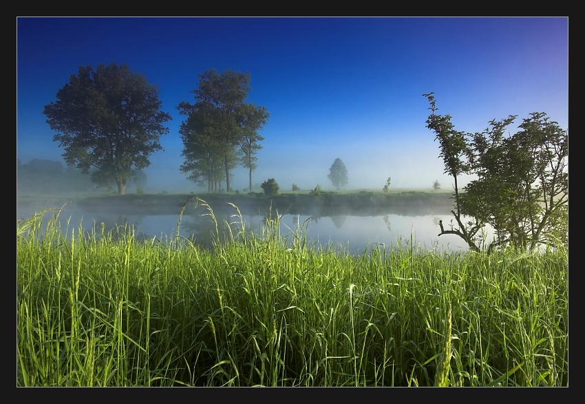 Mglisty poranek nad Notecią