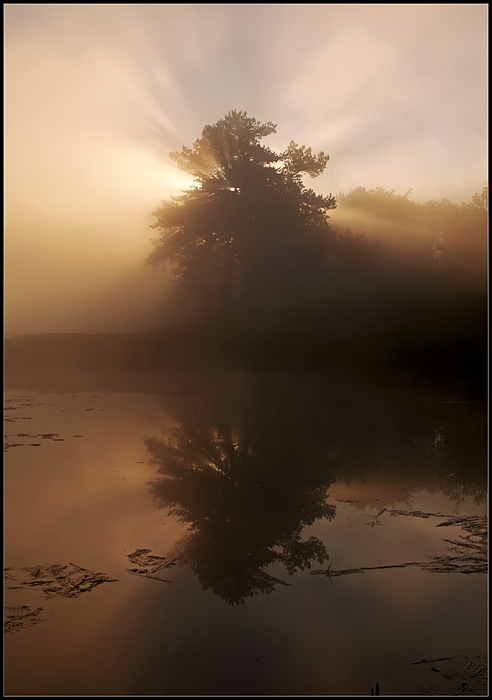 Light&Water