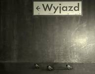 Wyjazd