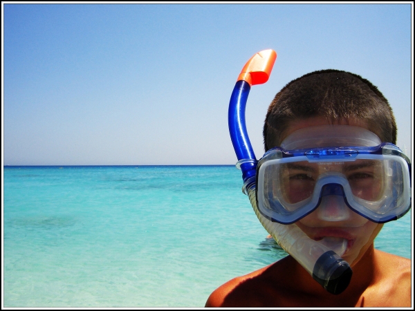 Diving in the Red Sea