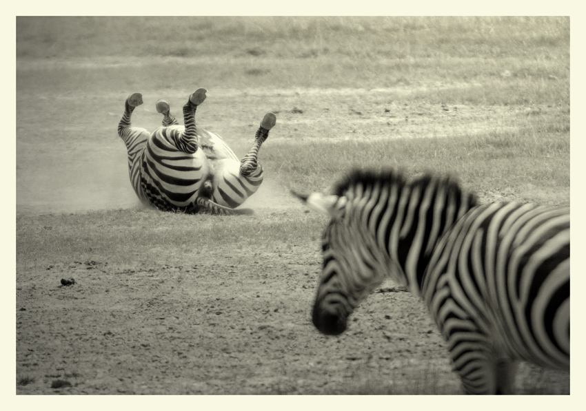 Na Ngorongoro