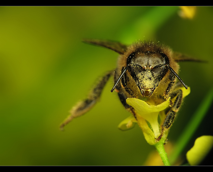 Everybody was kung-fu fighting :)