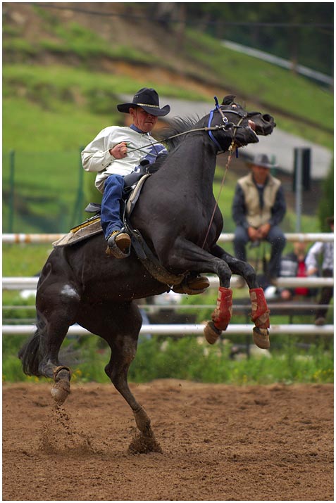 Western i rodeo