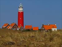 Texel