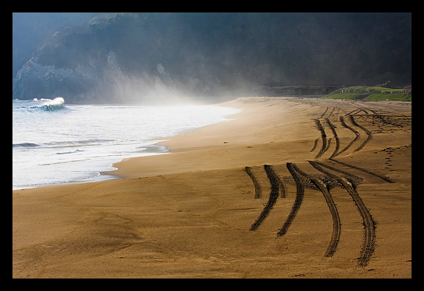 Playa de los cocos