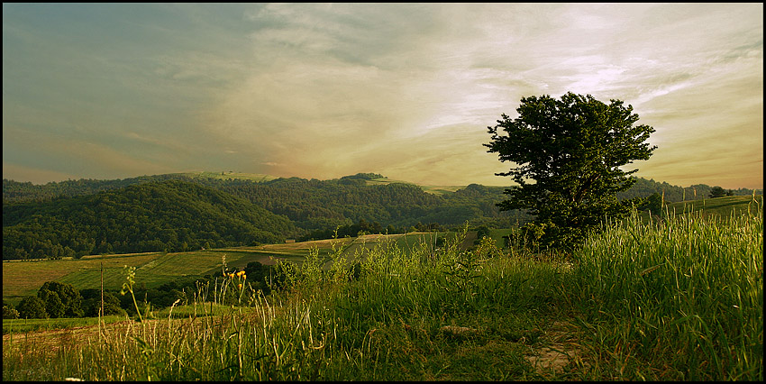 Bieszczady