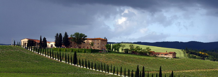 Villa certosa