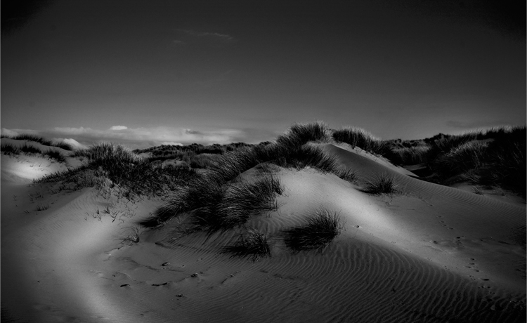 Ynyslas