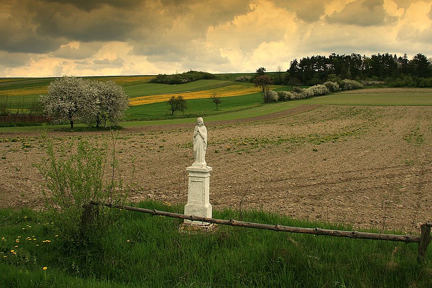 czekanie