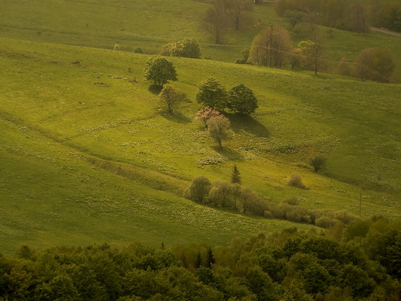 Bieszczady