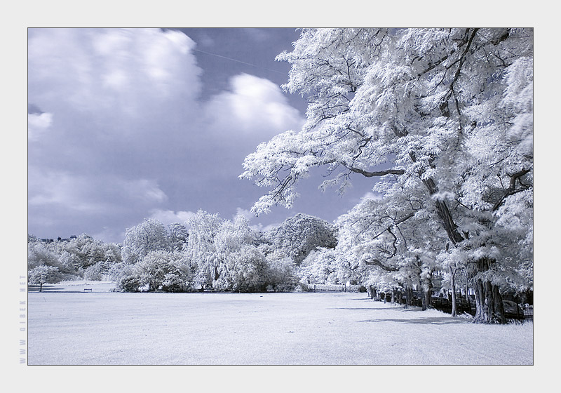 Springfield Park, London