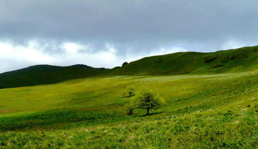 Bieszczady