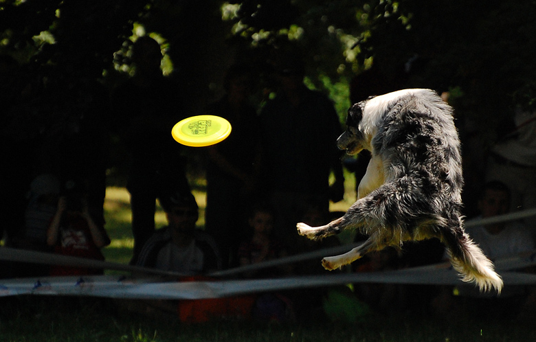 fly a kite...