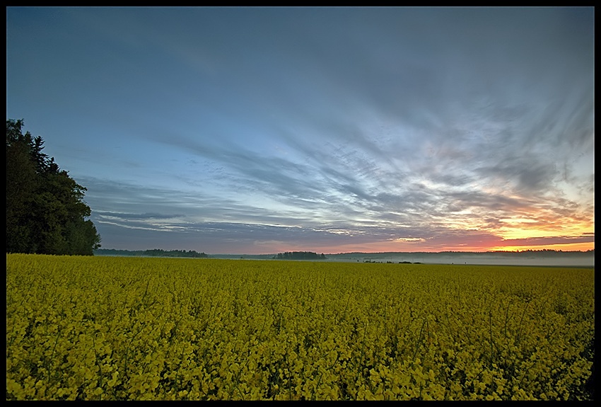 Valkommen till Sverige