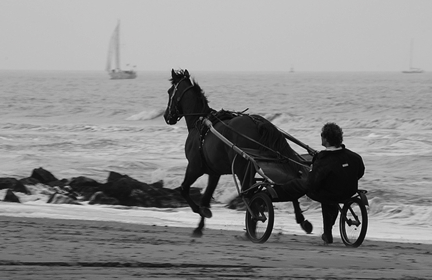 Na plaży w Scheveningen