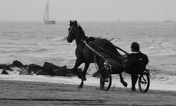 Na plaży w Scheveningen