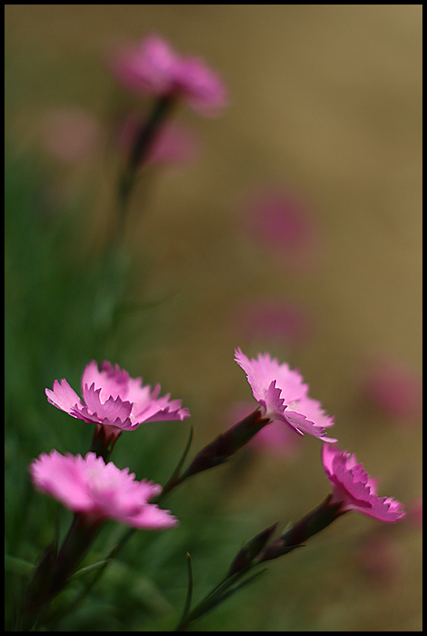 grasping the light