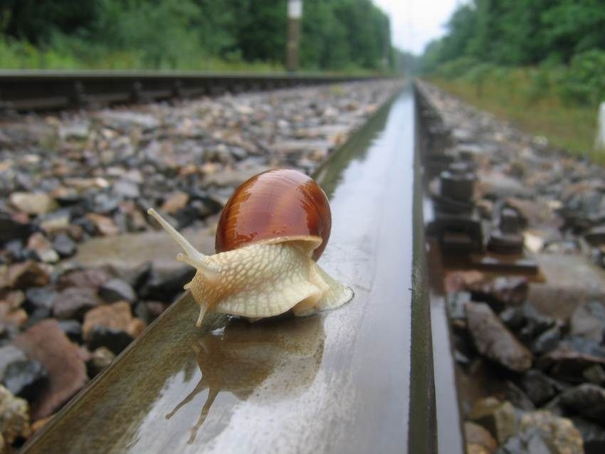 Nie tędy droga