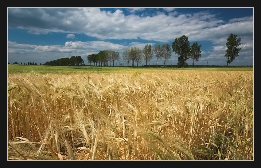 Krajeńskie pejzaże