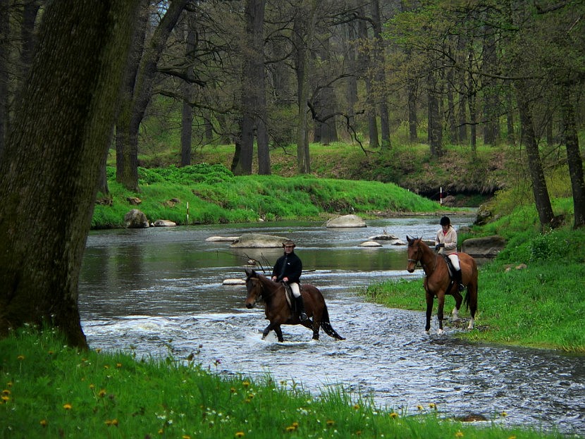 Przejażdżka