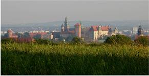 Wawel w sobotni mglisty poranek 5.30