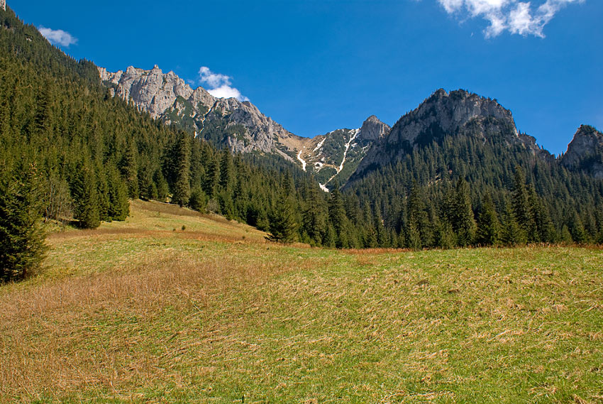 Wyżnia Hala Pisana