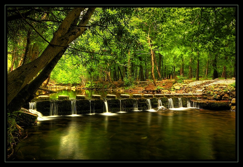 Tollymore Forest Park