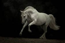 Shadowfax